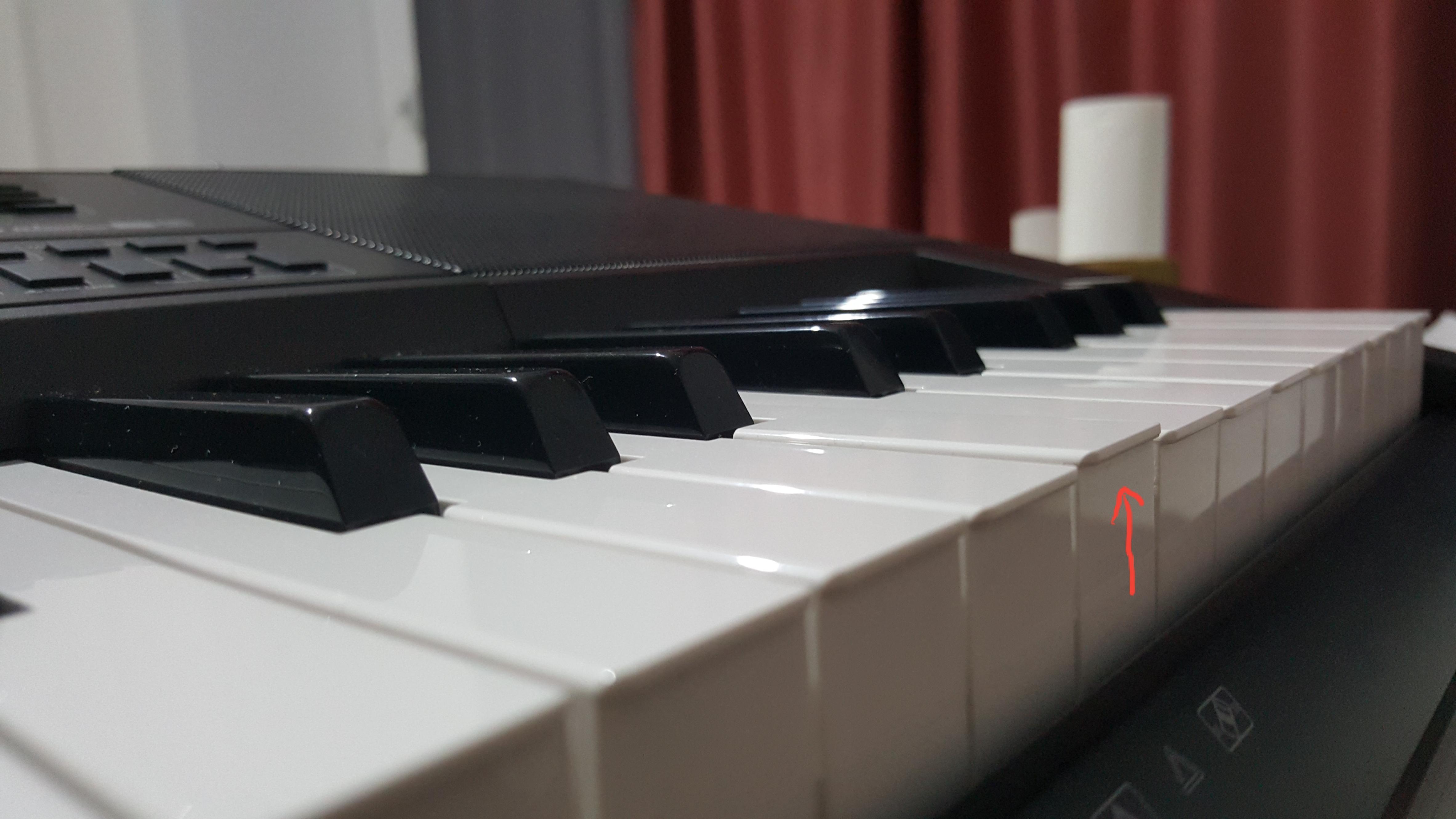 incompleto alegría claro CT-X5000 and microphone issue - Page 2 - CT-X3000 / CT-X5000 - Casio Music  Forums