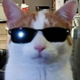 skizze